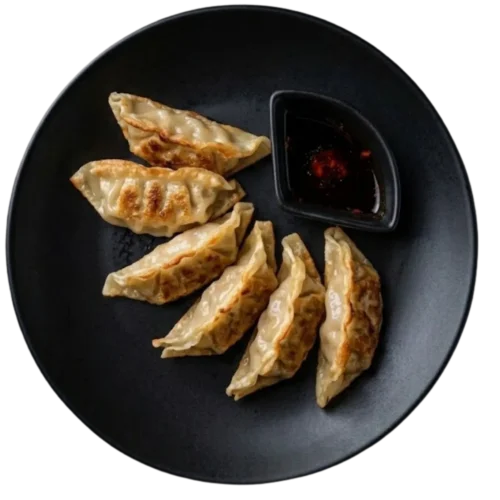 Mandu / Gyoza